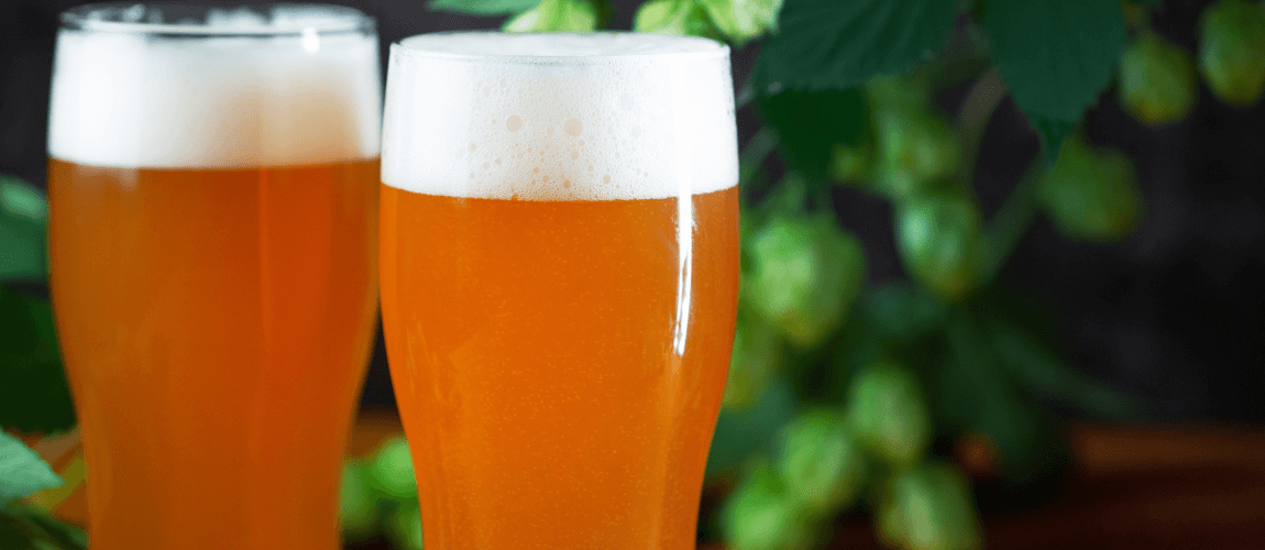 Lúpulo fresco: Saiba mais sobre a cerveja Fresh Hop