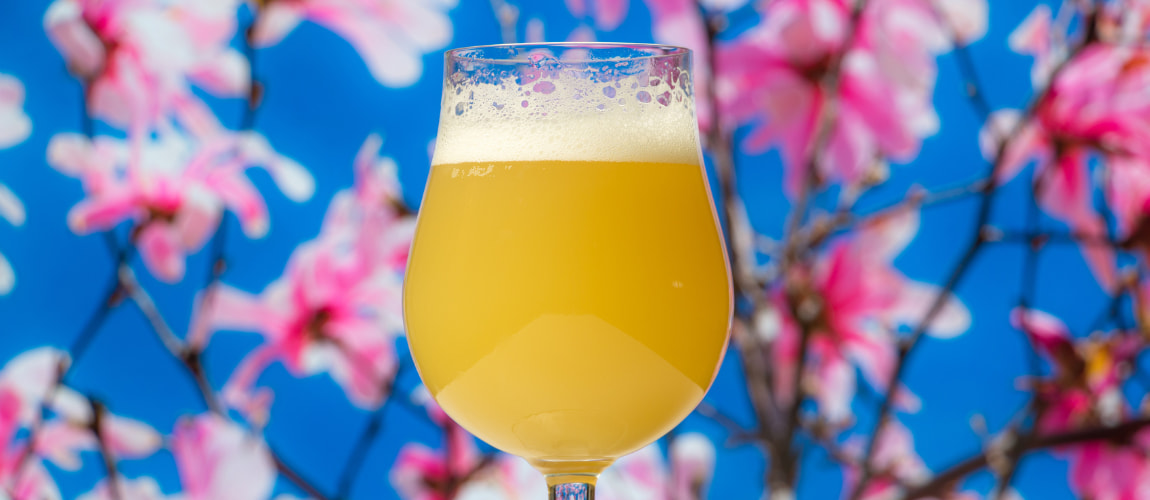 Cervejas com flores: 5 rótulos com clima de primavera