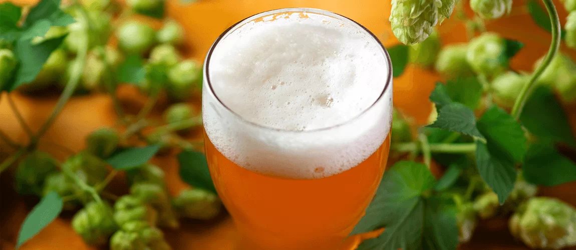 Consumo moderado de cerveja pode trazer benefícios à saúde