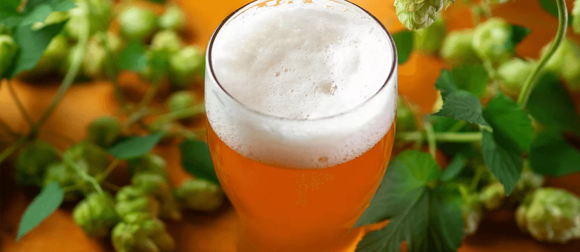 Cold IPA: o que é e o que provar para entender esse novo estilo