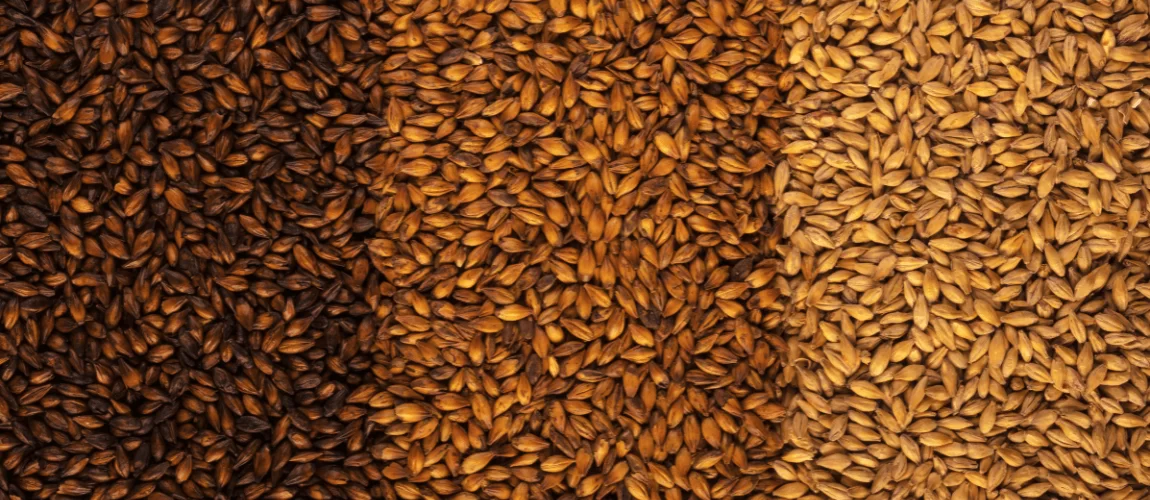 Saiba tudo sobre cerveja puro malte, uma das preferidas dos brasileiros